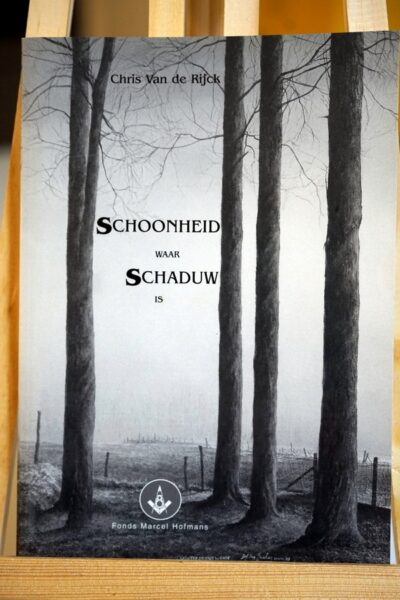 Schoonheid waar schaduw is.